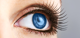EMDR Therapy